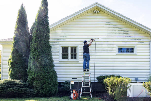 Best Soft Washing for Delicate Surfaces in Robins, IA